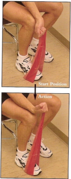 pdf4