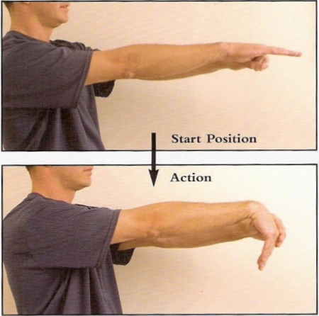 pdf1