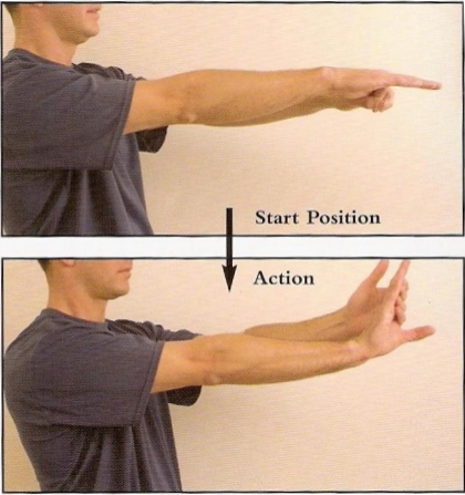pdf2